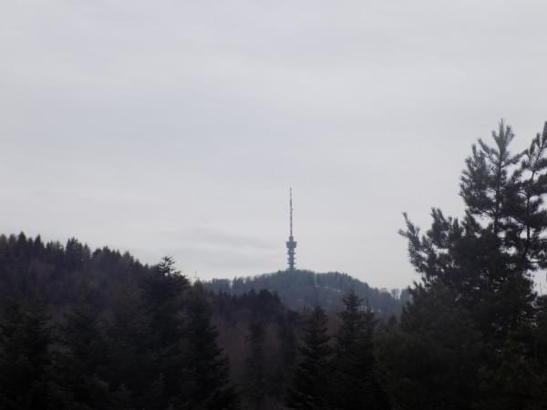 Content photo